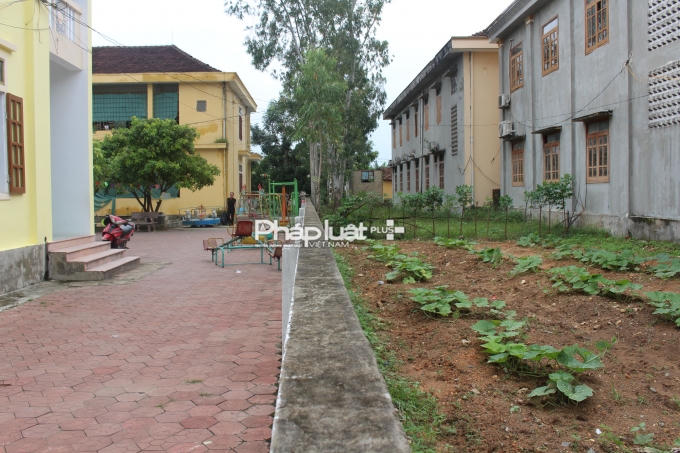 Khu vực nghi trước đây là kho thuốc bảo vệ thực vật.