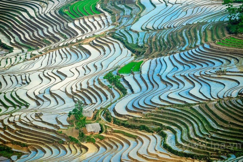 Nước lấp lánh khắp các sóng ruộng.