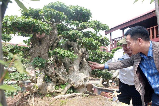 Một tác phẩm duối cổ có tên “dãy Trường Sơn” rất già, được định giá tiền tỷ
