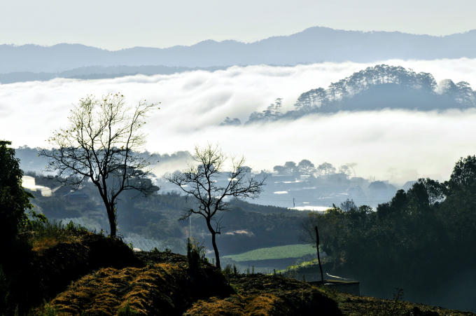 Biển mây trong nắng sớm.