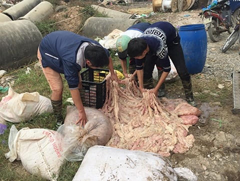 Những nội tạng động vật được các chủ hàng gom cả tuần rồi mới đem bán.