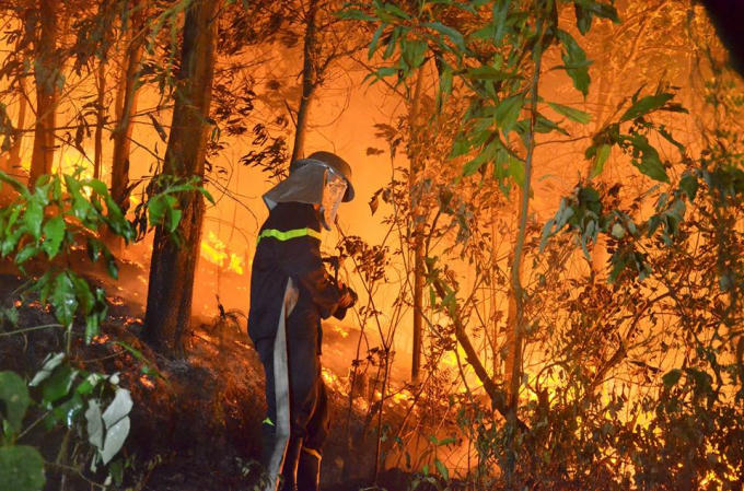 Lực lượng chức năng phải huy động hơn 2.000 người gồm quân đội, công an, dân quân tự vệ và người dân địa phương tham gia chữa cháy. 