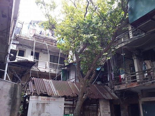 Một góc Khu tập thể 30A Lý Thường Kiệt.