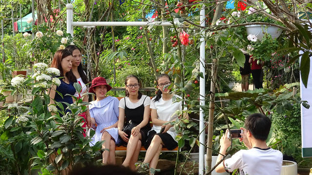 Cũng chính vì vẻ đẹp ấn tượng của vườn hoa hồng mà vào những dịp cuối tuần, nơi đây thu hút khá đông những người yêu hoa đến thưởng lãm, chụp ảnh.
