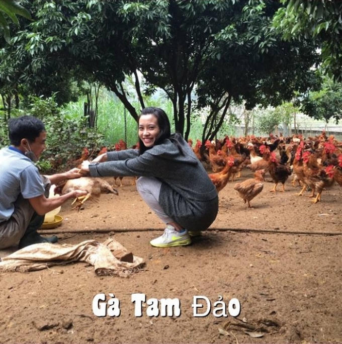 CEO Phương Bùi với hành trình đi tìm kiếm thực phẩm sạch.