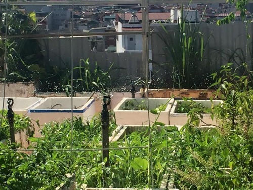 Hệ thống tưới nước bán tự động