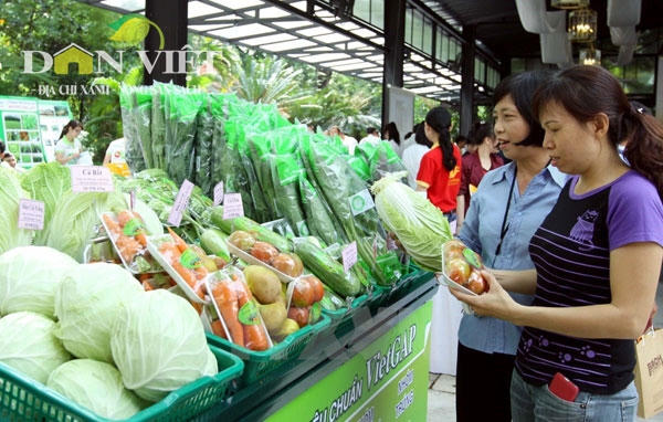 Người tiêu dùng lựa chọn sản phẩm theo tiêu chuẩn VietGap. Ảnh:Thanh Vũ/TTXVN