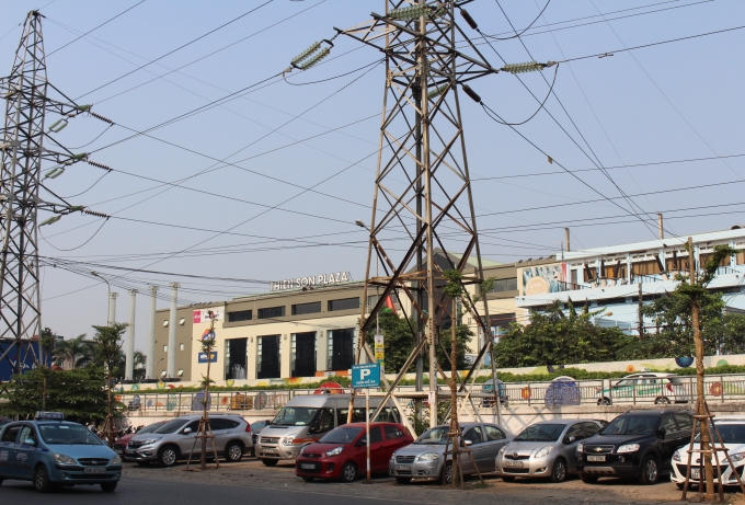 Không chỉ được trồng ngay dưới hành lang điện, mà nhiều cây còn được trồng ngay dưới chân cột.