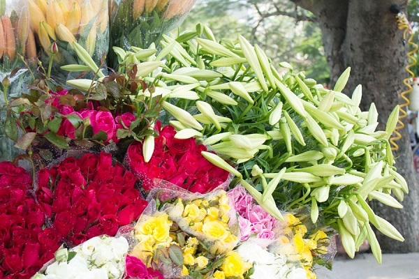 làm say mê những người chụp ảnh.