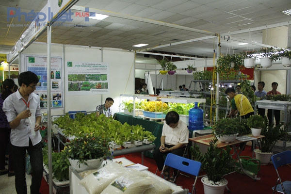 Người dân Thủ đô tìm