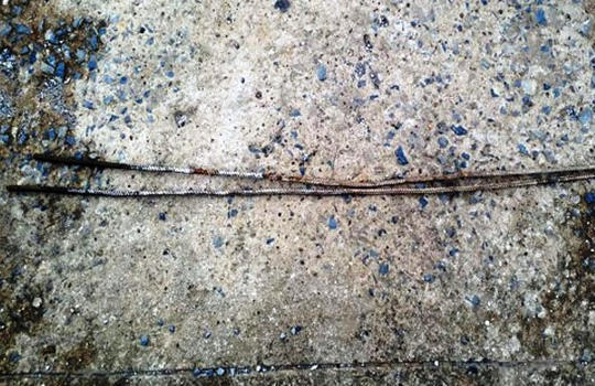 Những thanh sắt được cắm dưới ruộng lúa làm hỏng máy gặt của ông Phan Công Tiếu