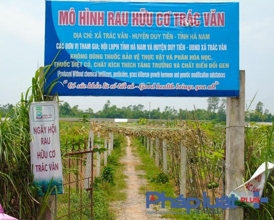Mô hình được hình thành từ năm 2013. (Ảnh: Hà Đương).