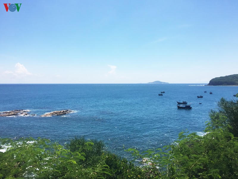 phu yen - tuyet tac ky dieu cua thien nhien hinh 7