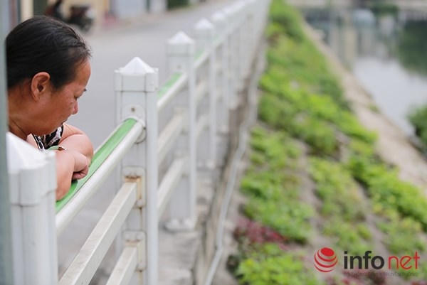 Bác Loan, một người trồng rau chia sẻ: "Hiện nay có quá nhiều thông tin về vệ sinh an toàn thực phẩm, đặc biệt là rau củ quả nên tôi cũng rất hạn chế mua đồ từ ngoài chợ về. Việc trồng rau như thế này cũng không mất nhiều thời gian mà lại đủ cung cấp thực phẩm cho cả gia đình".