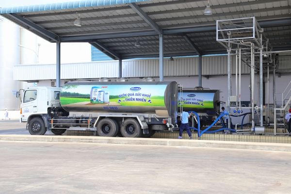 Nhà máy đang tiếp nhận sữa tươi nguyên liệu từ các xe bồn chuyên dụng, chuẩn bị đưa nga vào sản xuất.