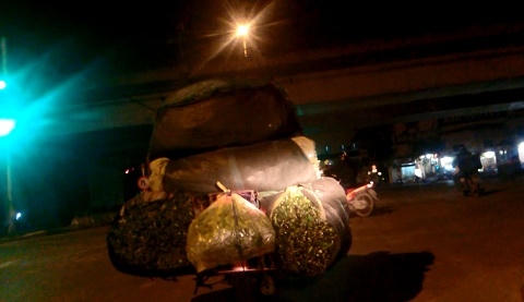 H&agrave;ng ng&agrave;y v&agrave;o khoảng 2-3 giờ s&aacute;ng, rau ở x&atilde; Vĩnh Quỳnh được đưa ra chợ b&aacute;n bu&ocirc;n