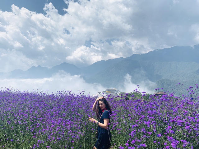 Mã tiền thảo ưa khí hậu mát mẻ nên thích nghi, phát triển tốt khi được trồng ở Sa Pa. 