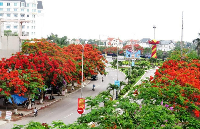 Ảnh Giang Chinh - Vnexpress.net