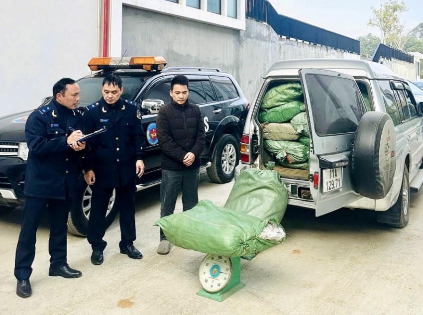 Hải quan khu vực XVI bắt giữ vụ buôn lậu gần 800 kg lá thuốc lá tại Cao Bằng.