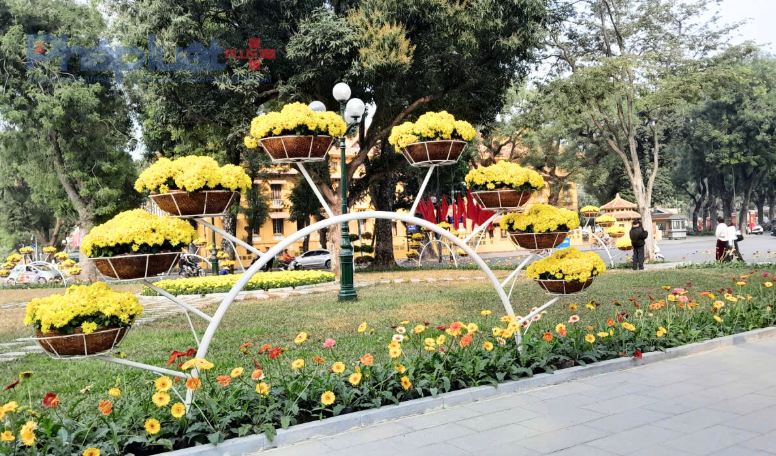 Nhiều khu vực công viên, nơi công cộng được bố trí với những chậu hoa tươi thắm.