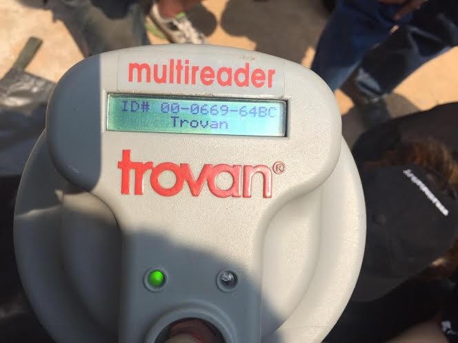 Kiểm tra chip đăng kí của gấu.