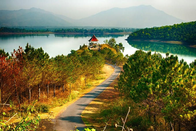 Rừng thông hai bên đường dẫn lối vào Biển Hồ. (Ảnh: Aumateur Pic)