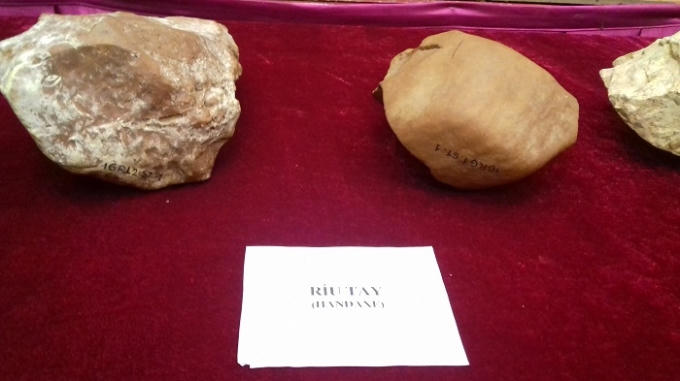 "Rìu tay được được phát hiện tại thị xã An Khê (tỉnh Gia Lai) bác bỏ quan niệm Phương Đông thể hiện cho khu vực bảo thủ, trì trệ, lạc hậu và hầu như không đóng góp gì cho nhân loại" - TS Đối nói.