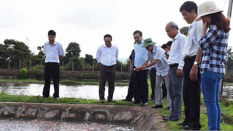 Đoàn giám sát của HĐND tỉnh kiểm tra thực tế dự án nuôi cá lăng đuôi đỏ tại Trung tâm Giống thủy sản Gia Lai.