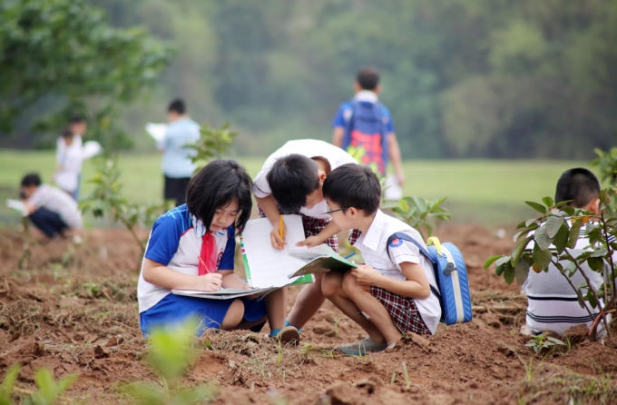 C&aacute;c b&eacute; được thỏa th&iacute;ch kh&aacute;m ph&aacute; về c&aacute;c lo&agrave;i c&acirc;y, t&igrave;m hiểu về c&aacute;c bộ phận th&acirc;n, rễ, l&aacute;... quy tr&igrave;nh ra hoa kết tr&aacute;i của c&aacute;c loại quả.