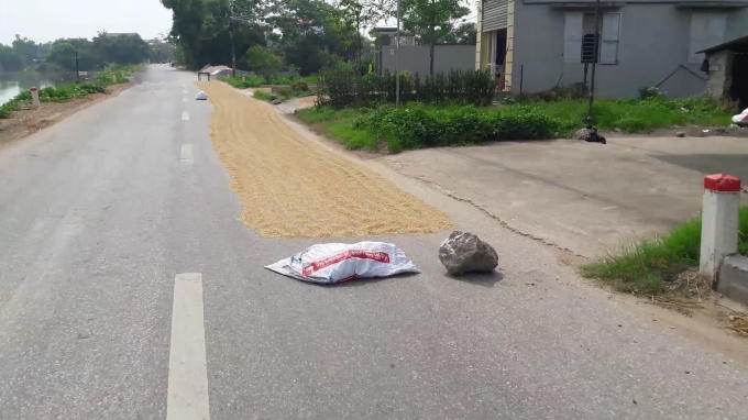 Mặt đường biến thành "sân phơi" nông sản của bà con.