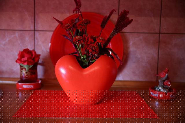 Những bông hoa trong bếp của Zorica Rebrenik.