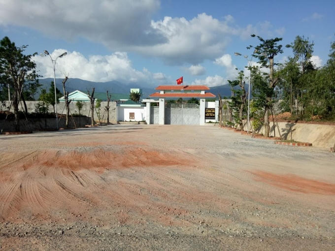 Trang trại bò của Cty TNHH Lê Dũng Linh.