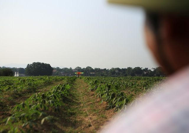 Để thả được những con diều khổng lồ, người thả phải mang con diều ra cách xa vị trí guồng dây khoảng vài chục mét để lấy đà.