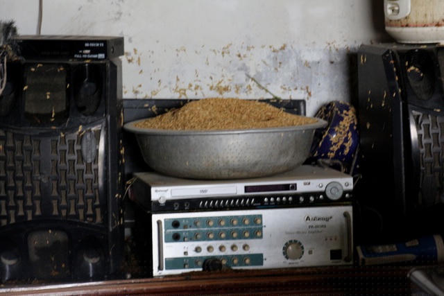 Lũ đi qua chỉ còn lại bùn non và nước mắt