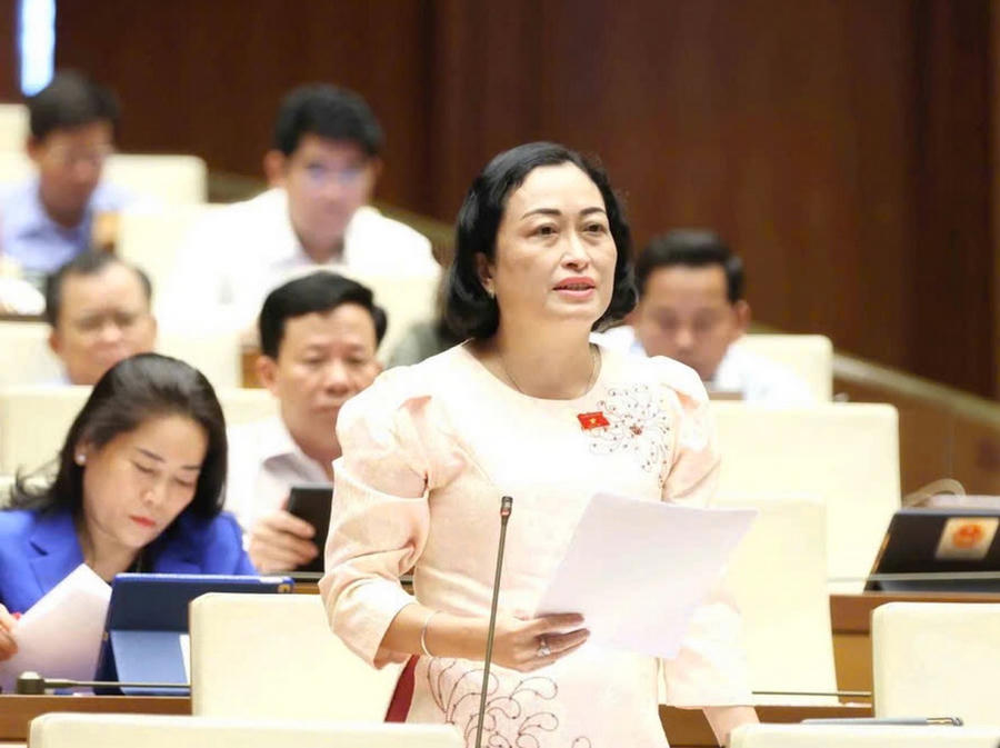 Bà Trần Thị Hoa Ry – Phó Chủ tịch Hội đồng Dân tộc của Quốc hội (Đại biểu Quốc hội Việt Nam khoá XV), ứng cử đại biểu Quốc hội khóa XVI, phát biểu ý kiến tại Kỳ họp Quốc hội khóa XV.