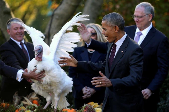 Tổng thống Obama chúc mừng Tot không phải trở thành bữa ăn tối trong ngày lễ Tạ ơn. (Ảnh: Reuters)