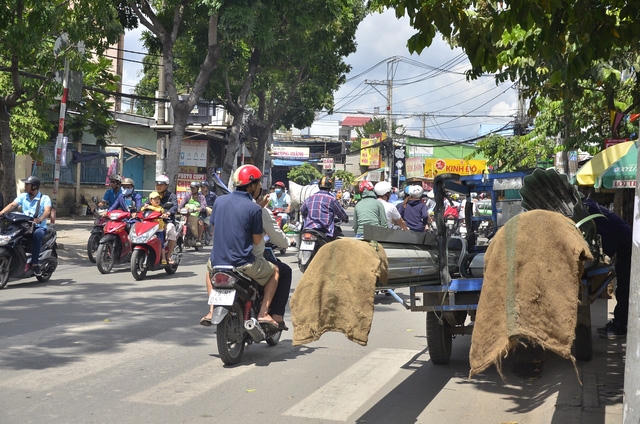 Những chiếc xe chở tôn
