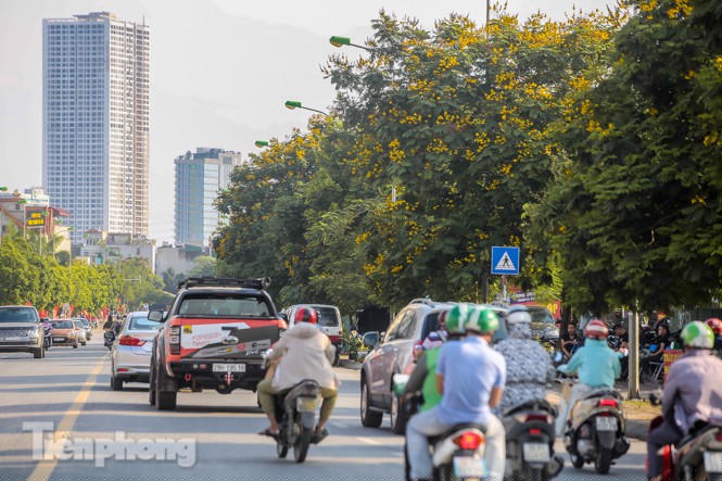 Những phố hoa Hà Nội làm xao xuyến lòng người - ảnh 5