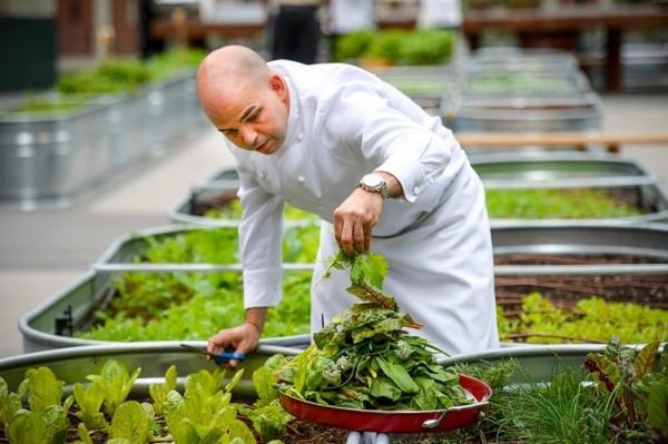 C&aacute;c loại c&acirc;y, thảo mộc v&agrave; c&aacute;c loại rau thu hoạch được từ n&oacute;c nh&agrave; n&agrave;y đều được sử dụng cho chế biến m&oacute;n ăn tại nh&agrave; h&agrave;ng Jonathan Club.