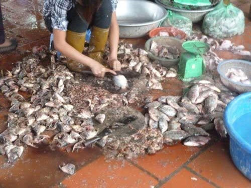 Những hình ảnh thực phẩm bẩn ở Việt Nam đã làm vị bác sĩ Việt Kiều choáng váng.