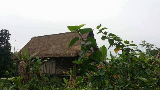 Chiếc nhà sàn bỏ hoang không người sinh sống xuống cấp, cỏ mọc um tùm gây thiếu mĩ quan của khu du lịch.