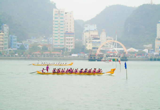 Cuộc đua...