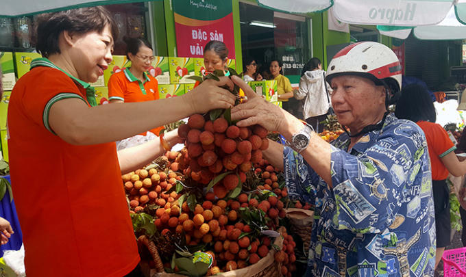 Khai mạc tuần lễ vải thiều Thanh H&agrave; &ndash; Hải Dương tại H&agrave; Nội