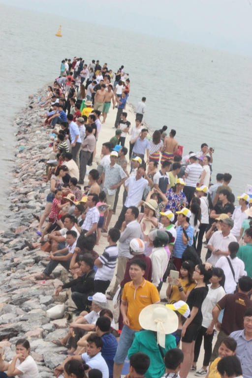 Con đường nhỏ trong bãi tăm cũng được phủ kín.