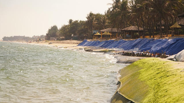 Cả một đoạn bãi biển dài bị ảnh hưởng