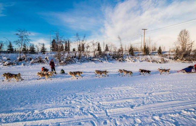 Fairbanks, Mỹ: Nằm trong khu bảo tồn Denali, nhiệt độ trung b&igrave;nh v&agrave;o m&ugrave;a đ&ocirc;ng ở th&agrave;nh phố Fairbanks chỉ khoảng -22 độ C.
