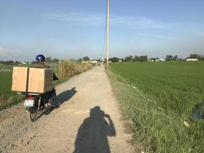 Anh71.