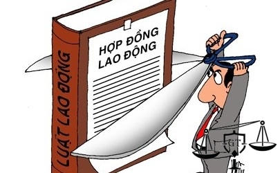 Hình minh họa.