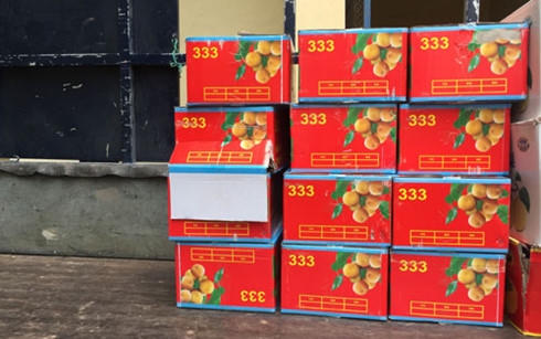 Nhiều thùng quýt không rõ nguồn gốc bị phát hiện. Ảnh: Công an Hạ Long cung cấp.