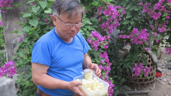 Sản xuất sữa ong chúa sạch thu nhập hàng trăm triệu đồng mỗi năm